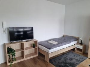 a bedroom with a bed and a flat screen tv at Cozy Studio-Apartment in Hattersheim in Hattersheim