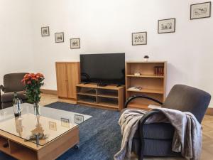 TV a/nebo společenská místnost v ubytování Apartment Manes Residence by Interhome
