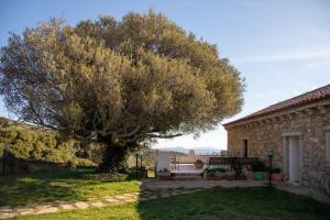 Zahrada ubytování Cantina&Agriturismo Canu + 16 fotografií