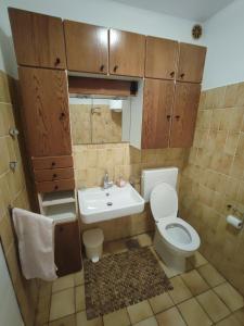 Kúpeľňa v ubytovaní Apartma Mirko