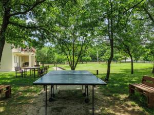 Stolní tenis v ubytování Apartment Macini-4 by Interhome nebo okolí