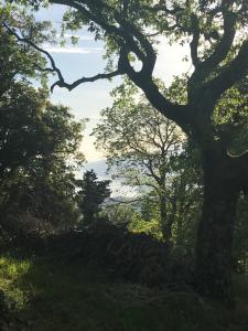 Gallery image of Cozy Hide Away Frantato in Akamatra