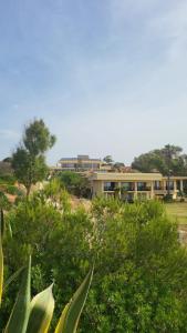 um edifício à distância com árvores em primeiro plano em Foz Club - Algarve em Alvor