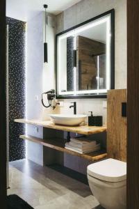 une salle de bain avec un lavabo et des toilettes dans l'établissement Apartamenty Bujaś Resort Białka Blue Ski - obok Termy Bania, à Białka Tatrzańska