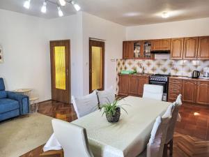 Kuchyň nebo kuchyňský kout v ubytování Apartment Ana-1 by Interhome