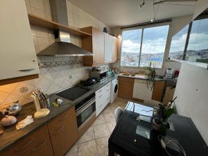Kuchyň nebo kuchyňský kout v ubytování Appartement Le Boulogne + 4 fotografie