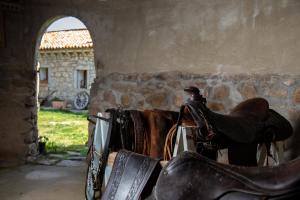 Fotografie z fotogalerie ubytování Cantina&Agriturismo Canu v destinaci Luogosanto
