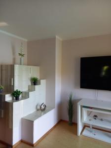 salon z telewizorem z płaskim ekranem i kanapą w obiekcie Urlaubstraum-gesamte Unterkunft w mieście Altglandorf