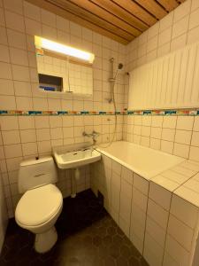 a bathroom with a toilet and a sink at City Apartments Turku - 1 Bedroom Apartment with private sauna in Turku