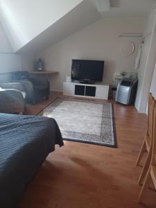a living room with a tv and a couch at Toimisto-Majoitus C in Kokkola