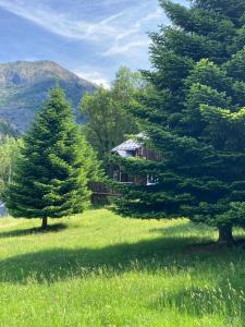 a house in the middle of a field with two trees at Chalets les tutes de la Vernière in Auzat +5 photos