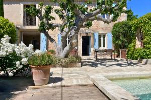 a house with a tree and a swimming pool at La Maison de Clervie in Mouriès