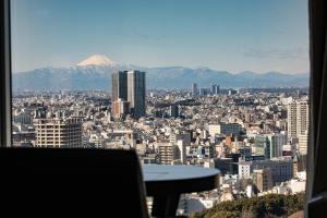東京にある品川プリンスホテルの山を背景とした市街の景色