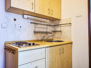 Kuchyňa alebo kuchynka v ubytovaní Apartment Alice III- by Interhome + 27 fotografií