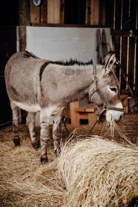 Fotografie z fotogalerie ubytování Logement insolite L'heureux hasard - van vintage v destinaci Contres
