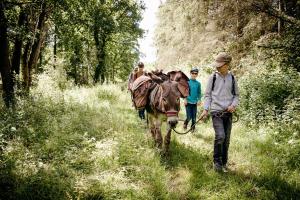 Fotografie z fotogalerie ubytování Logement insolite L'heureux hasard - van vintage v destinaci Contres + 12 fotografií