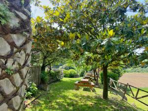 A garden outside Villa Tia Toni - 1002