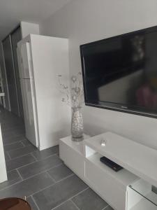 a vase with flowers in a room with a tv at Magnifique Appartement CAP NATURISTE in Cap d'Agde