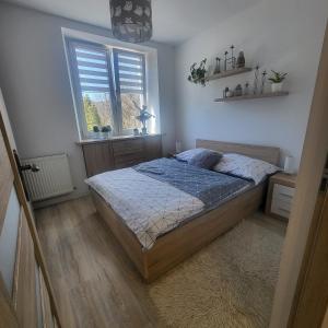 um quarto com uma cama e uma janela em Apartament Twoja Chwila em Stronie Śląskie