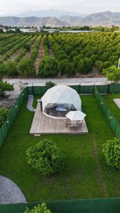 Foto dalla galleria di Greenglampingdome a Ortaca