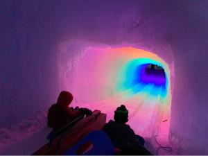 入住B1 NEW Awesome Tiny Home with AC Mountain Views Minutes to Skiing Hiking Attractions的客人