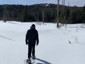 冬天的B1 NEW Awesome Tiny Home with AC Mountain Views Minutes to Skiing Hiking Attractions