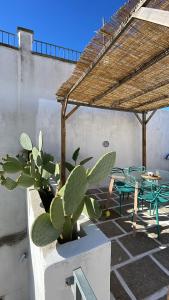 eine Terrasse mit einem Tisch, Stühlen und einem Kaktus in der Unterkunft Mambo Salentino Guest House in Matino