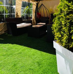 un patio con césped verde, sillas y ventanas en Zeleni Dvor en Ribarska Banja