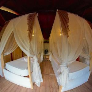 De Chicktoria Hostel في Pawenang: سريرين في غرفة مع ستائر بيضاء
