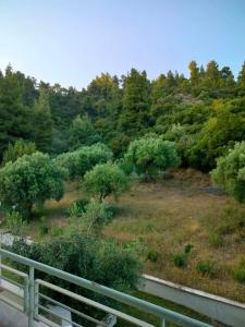 Paesaggio naturale nelle vicinanze dell'appartamento