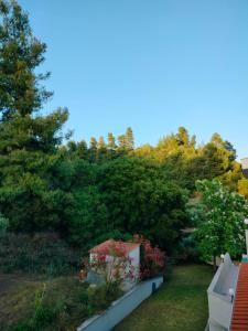 Giardino di Dionysus View