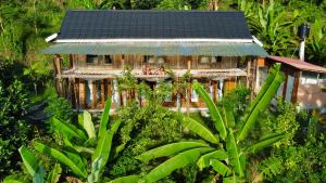 De Chicktoria Hostel في Pawenang: اطلالة جوية على بيت في الغابة