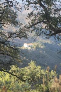 a view of a hill with a house in the distance at Lagar De Trevenez Montes De Malaga in Málaga