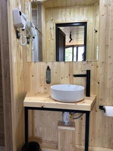 a wooden bathroom with a sink and a mirror at Hotel Eurica in Kutaisi