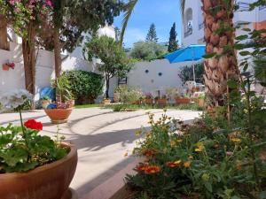 a garden with flowers in pots on a sidewalk at Villa Azaiiza in Sousse