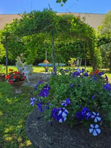 Zahrada ubytování B&B Casa Tessieri