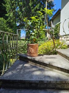 Zahrada ubytování B&B Casa Tessieri