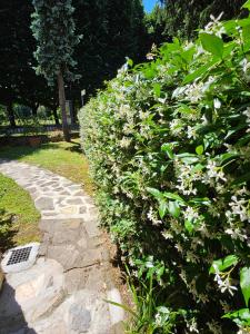 Zahrada ubytování B&B Casa Tessieri