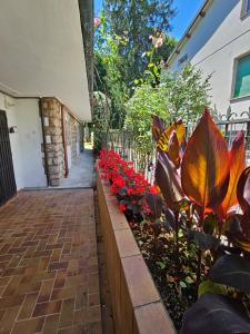 Zahrada ubytování B&B Casa Tessieri