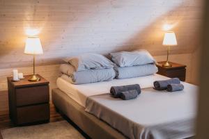a bed with two pillows on it with two lamps at Poilsio namai El Nido in Nida
