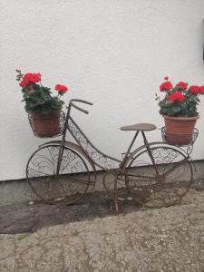 Jízda na kole v ubytování Biobauernhof Habersatter nebo okolí + 37 fotografií