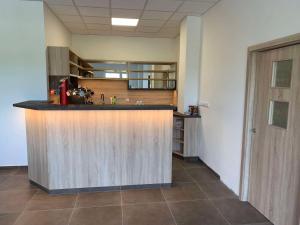 Kuchyň nebo kuchyňský kout v ubytování hotel Manětín + 9 fotografií