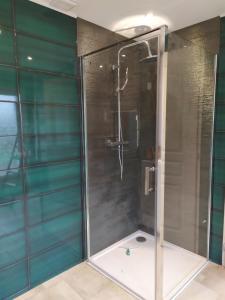 a shower with a glass door in a bathroom at Dans colombier proche de Vichy parking privé in Vichy
