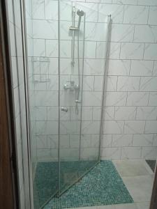 a shower with a glass door in a bathroom at У Софії in Volovets