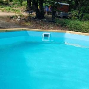 ein blauer Pool mit einem kleinen Objekt darin in der Unterkunft Gite avec piscine et terrain in Valgorge