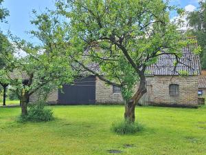 a tree in the grass in front of a building at Rødsten Gæstegård in Ulfborg +9 photos