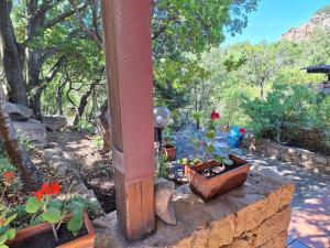 a group of potted plants sitting on a stone wall at Villa La Lecceta surrounded by greenery and sea view with sunset in Costa Paradiso