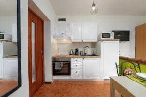 Kuchyň nebo kuchyňský kout v ubytování Studio Apartment