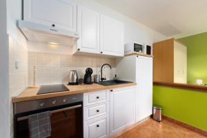 Kuchyň nebo kuchyňský kout v ubytování Studio Apartment