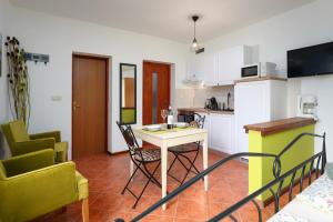 Kuchyň nebo kuchyňský kout v ubytování Studio Apartment